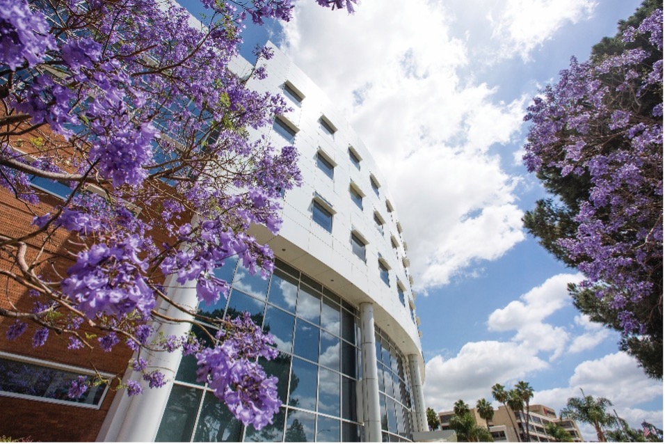 Business Advising Center Celebrates New Space With Ribbon-Cutting Ceremony, Open House