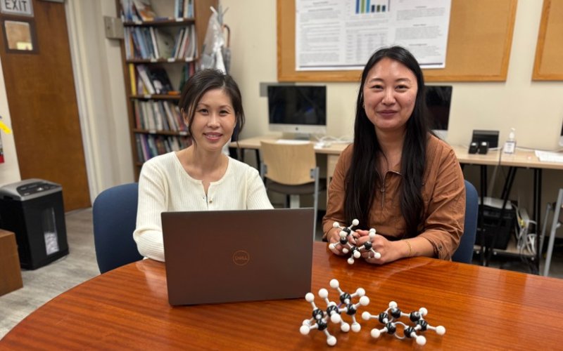 Chemistry student Emily Pak and faculty member Julia Chan work on a laptop in an office.
