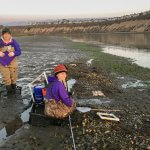 Students restore Oyster beds in Newport Bay