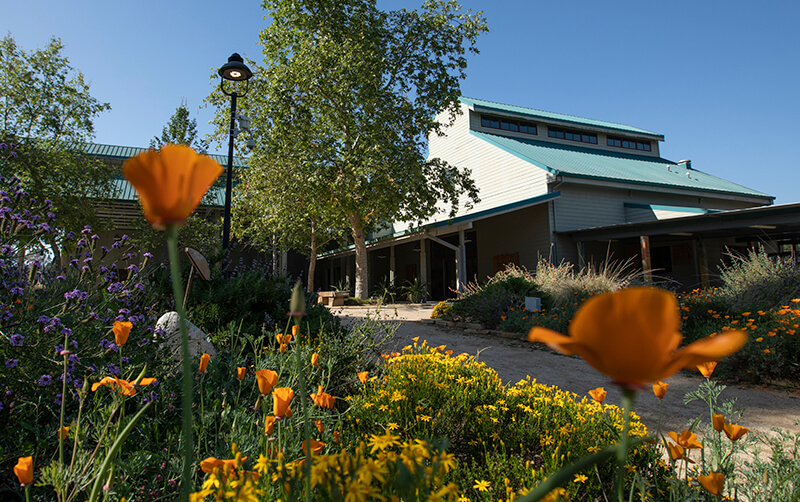 Arboretum with spring blooms