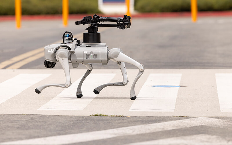 Robotic dog walks across the street.