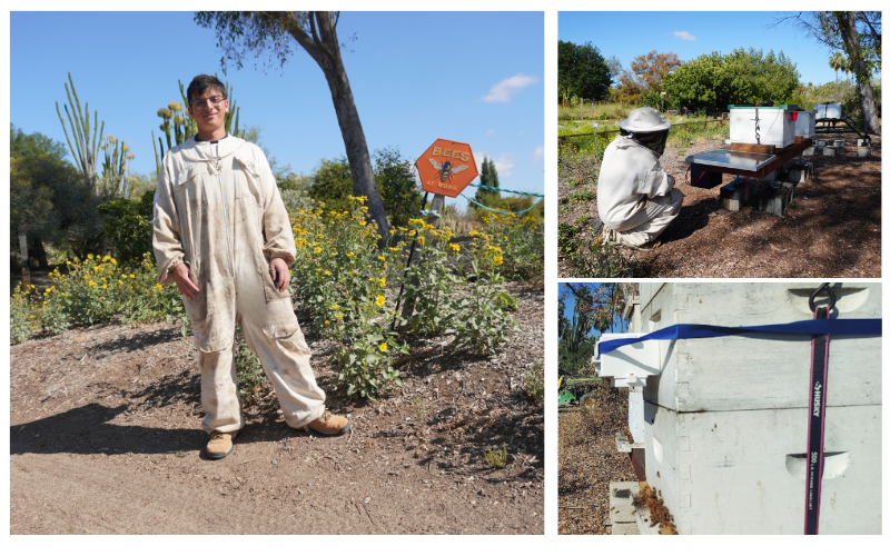 Computer science grad Kshitij Pingle stands in front of bee hives at the Arboretum and Botanical Garden at CSUF.