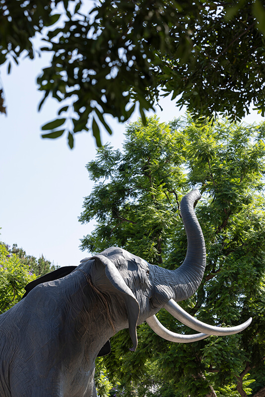 Titan Statue, a 22-foot elephant statue on campus
