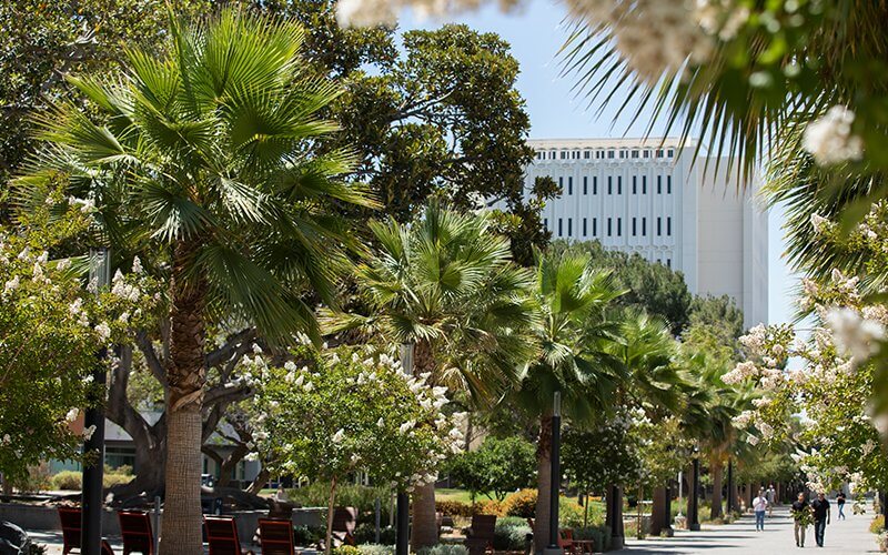 People walk along the CSUF promenade.