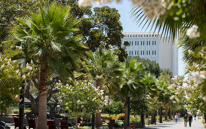 People walk along the CSUF promenade.