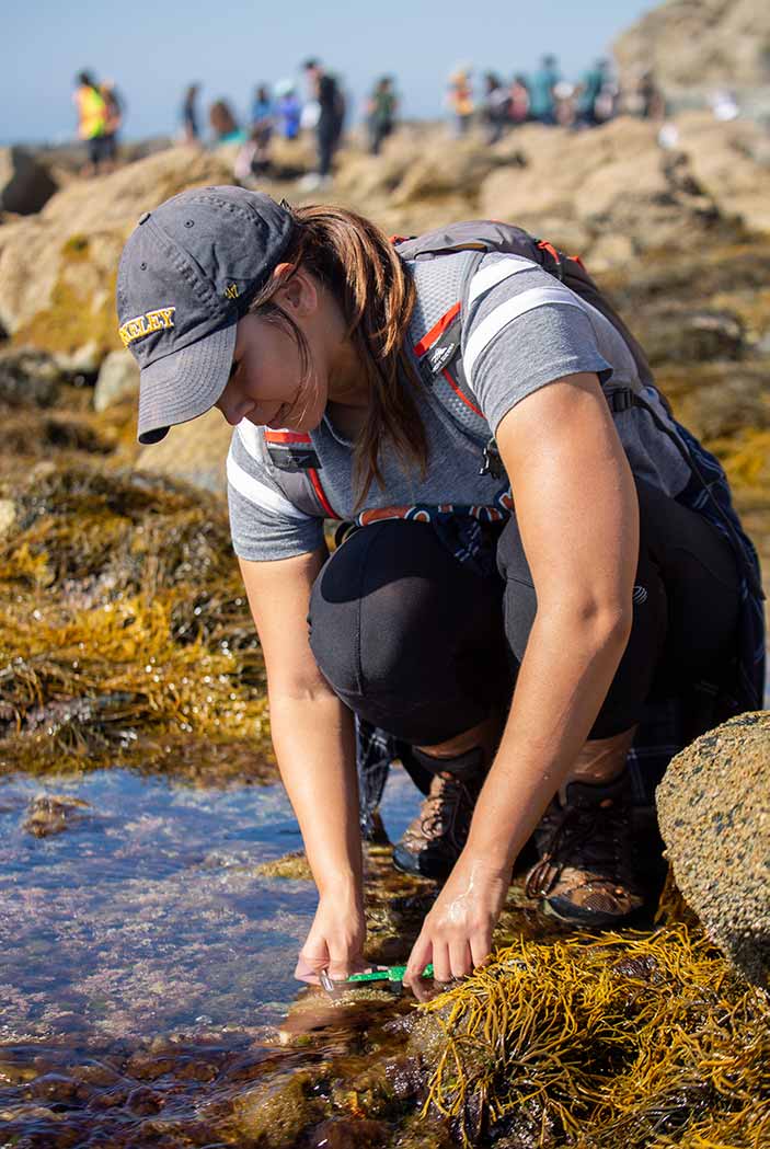 Alexis Barrera measures an anemone